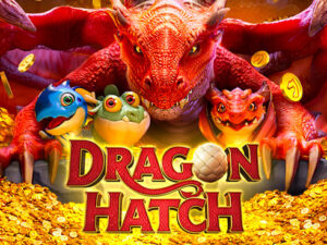 Dragon Hatch เกมสล็อต-PG-PGSLOT