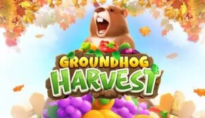 Groundhog Harvest เกมสล็อต-PG-PGSLOT