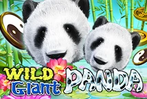 Wild Giant Panda SLOTXO