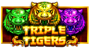 Triple Tigers PRAGMATIC PLAY เว็บตรง รีวิวเกมสล็อต PRAGMATIC PLAY