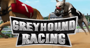 Greyhound Racing PRAGMATIC PLAY เว็บตรง รีวิวเกมสล็อต PRAGMATIC PLAY
