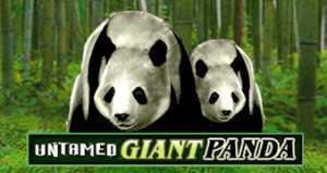 Untamed Giant Panda Microgaming SLOTXO