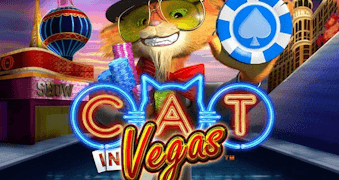 Cat In Vegas สล็อต PLAYTECH เข้าสู่ระบบ สล็อต XO เว็บตรง