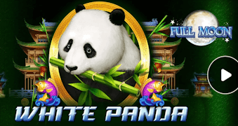 Full Moon White Panda สล็อต PLAYTECH เข้าสู่ระบบ สล็อต XO เว็บตรง