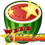 WILD MELON PLAY'N GO SLOTXO