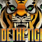 Ride The Tiger สล็อต PLAYTECH เข้าสู่ระบบ สล็อต XO เว็บตรง
