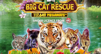 Big Cat Rescue MegaWays สล็อต Red Tiger เข้าสู่ระบบ สล็อต XO เว็บตรง
