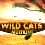 Wild Cats Multiline สล็อต Red Tiger เข้าสู่ระบบ สล็อต XO เว็บตรง
