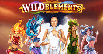 Wild Elements สล็อต Red Tiger เข้าสู่ระบบ สล็อต XO เว็บตรง