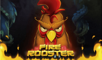 Fire Rooster สล็อต Habanero เข้าสู่ระบบ สล็อต XO เว็บตรง