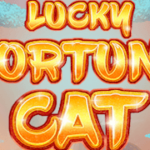 Lucky Fortune Cat สล็อต Red Tiger เข้าสู่ระบบ สล็อต XO เว็บตรง