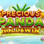Precious Panda Hold & Win สล็อต ISoftbet เข้าสู่ระบบ สล็อต XO เว็บตรง