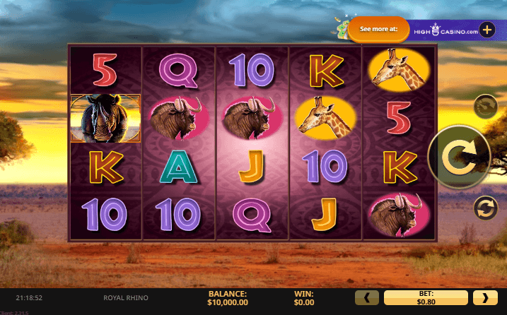 Royal Rhino สล็อตค่าย High 5 Games SLOT SLOTXO Royal Rhino สล็อตค่าย High 5 Games SLOT SLOTXO