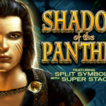 Shadow of the Panther สล็อต High 5 Games เข้าสู่ระบบ สล็อต XO เว็บตรง