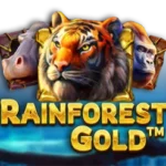 Rainforest Gold สล็อต NetEnt Gaming เข้าสู่ระบบ สล็อต XO เว็บตรง