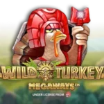 Wild Turkey Megaways สล็อต NetEnt Gaming เข้าสู่ระบบ สล็อต XO เว็บตรง