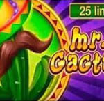 Mr Cactus สล็อต Inbet Games เข้าสู่ระบบ สล็อต XO เว็บตรง