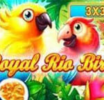 Royal Rio Birds สล็อต Inbet Games เข้าสู่ระบบ สล็อต XO เว็บตรง