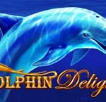 Dolphin Delight สล็อตค่าย Skywind Group SLOTXO