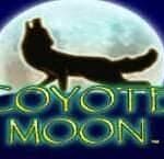 Coyote Moon สล็อต IGT SLOT เข้าสู่ระบบ สล็อต XO เว็บตรง