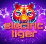 Electric Tiger สล็อต IGT SLOT เข้าสู่ระบบ สล็อต XO เว็บตรง