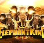 Elephant King สล็อต IGT SLOT เข้าสู่ระบบ สล็อต XO เว็บตรง