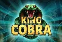 King Cobra รีวิวค่าย Booming Games สล็อต 888 สล็อตค่าย SLOTXO ฟรีเครดิต King Cobra รีวิวค่าย Booming Games สล็อต 888 สล็อตค่าย SLOTXO ฟรีเครดิต