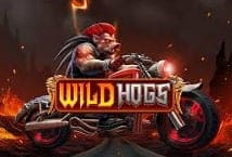 Wild Hogs สล็อตค่าย Stakelogic Games เข้าสู่ระบบ Slotxo เว็บตรง ไม่ผ่านเอเย่นต์