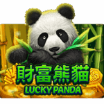 รีวิวเกมสล็อต XO Wild Giant Panda