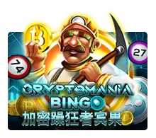 Cryptomania Bingo