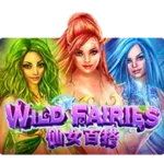 Wild Fairies เกมสล็อต XO รีวิวเกม SLOTXO