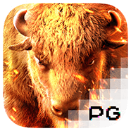 Buffalo Win รีวิวเกม สล็อต PG เล่น PG SLOT เว็บตรง